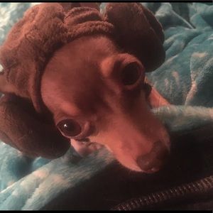 Meet your Posher, Leah